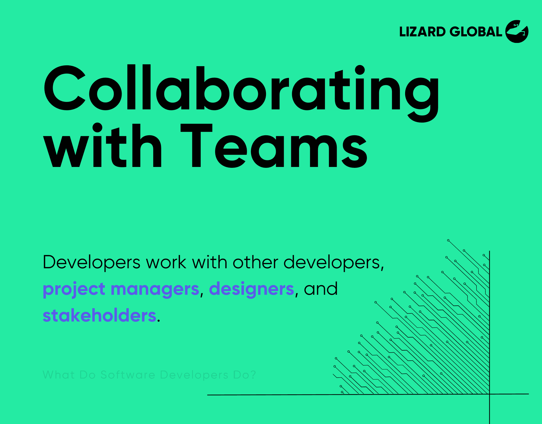 What Do Software Developers Do Collaborating with Teams