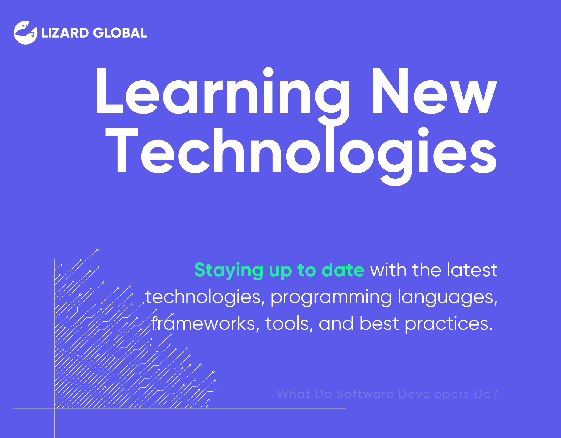 What Do Software Developers Do Learning New Technologies
