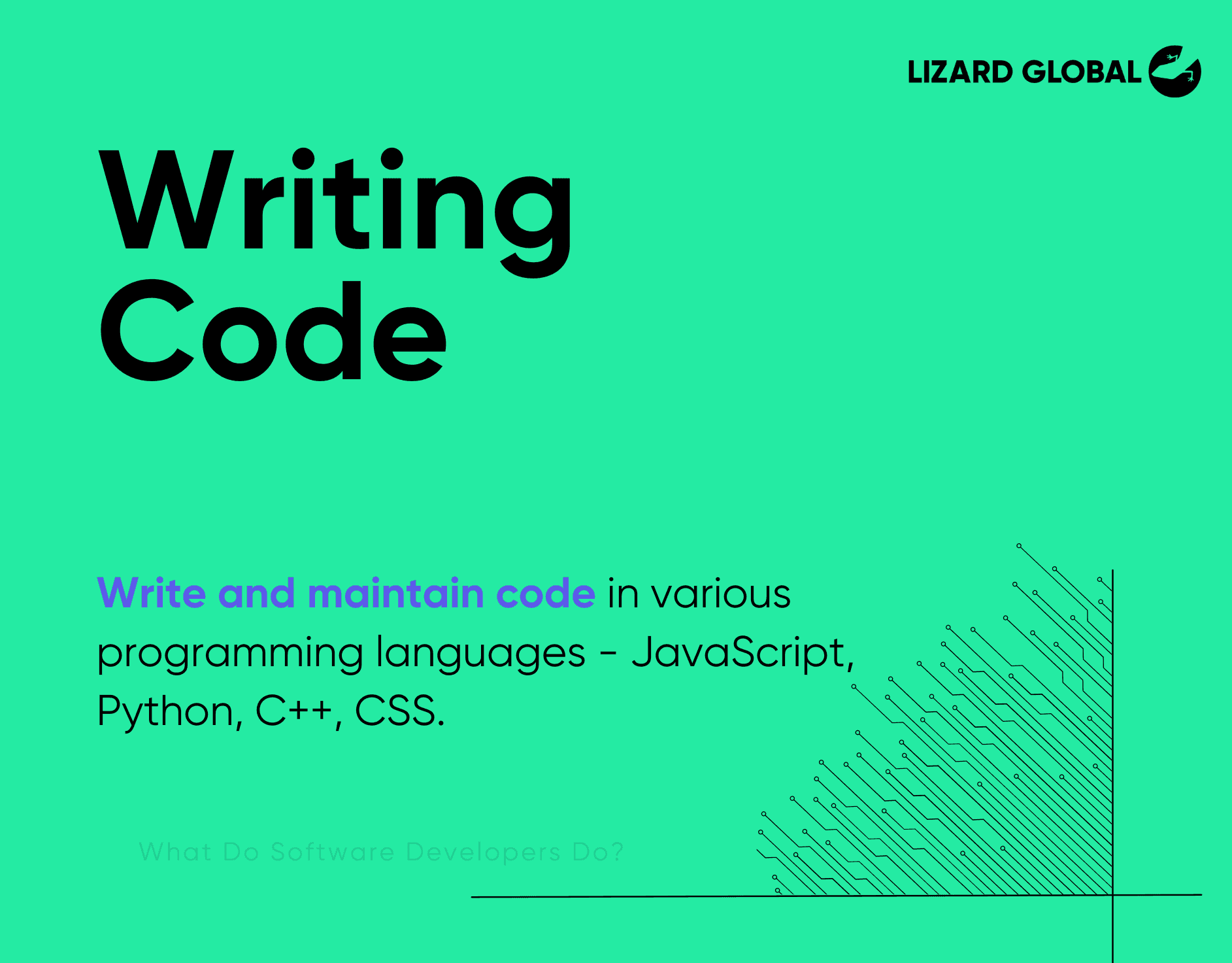 What Do Software Developers Do Writing Code