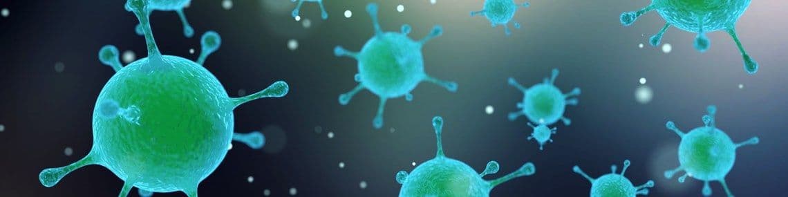 Lizard Global's Survival Guide For Returning To The Office