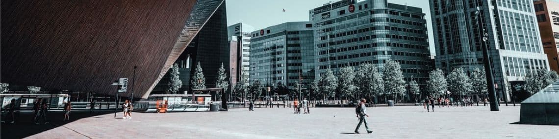 Meet the Lizards: Rotterdam Office