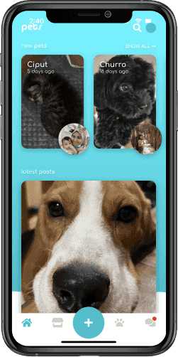 pets industries thumbnail